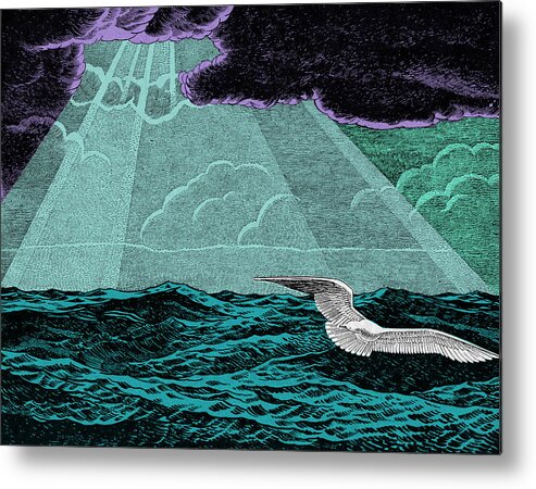 Albatross Metal Print featuring the drawing Bird Flying Over the Ocean by CSA Images