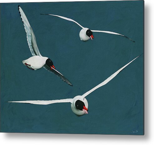 Animal Metal Print featuring the digital art Black Headed Seagulls with Open Wings by Jan Keteleer