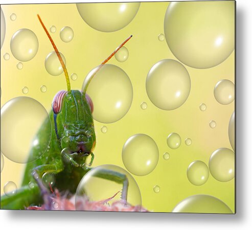 Nature Metal Print featuring the photograph Bubble Eater... by Thierry Dufour