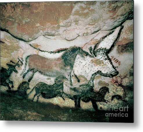 Animal Metal Print featuring the painting Bull, With Deer And Horse, Upper Paleolithic, From The Cave Of Lascaux, France, C.17.000-15.000 Bc by Prehistoric