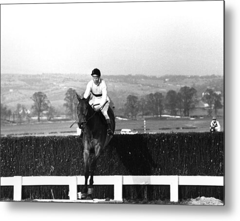 Sport Metal Print featuring the photograph Cheltenham Gold Cup by Hulton Archive