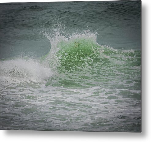 Waves Metal Print featuring the photograph Creatures Among us by Bill Posner