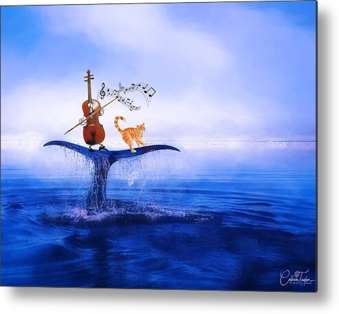Fiddles Metal Print featuring the mixed media Dancing on Whale Tails by Colleen Taylor