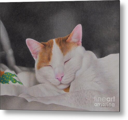 Cat Metal Print featuring the drawing Daydreamer by Pamela Clements