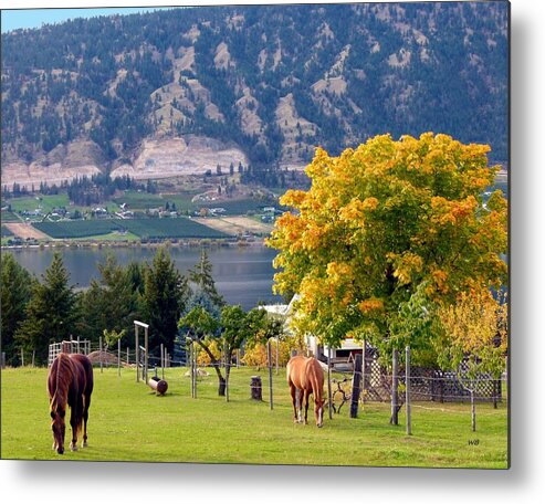 Horses Metal Print featuring the photograph Days Of Autumn 25 by Will Borden