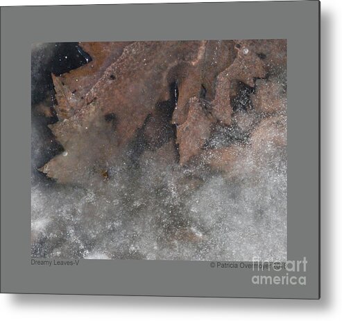 Leaf Metal Print featuring the photograph Dreamy Leaves-V by Patricia Overmoyer