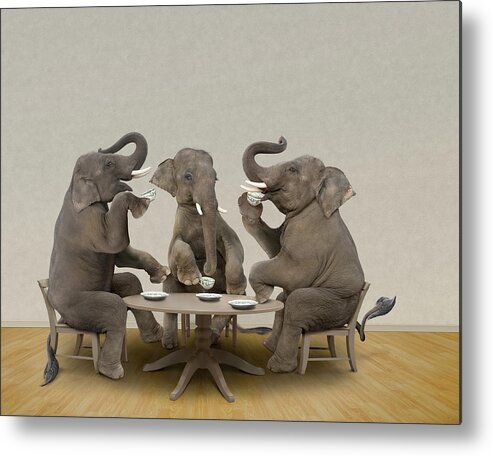 Three Animals Metal Print featuring the photograph Elephants Having Tea Party by John M Lund Photography Inc