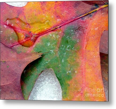 Autumn Metal Print featuring the photograph Fall Color and Snow by Amy Dundon