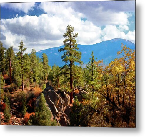 Forest Metal Print featuring the photograph Fall Day in Van Dusen Canyon by Timothy Bulone