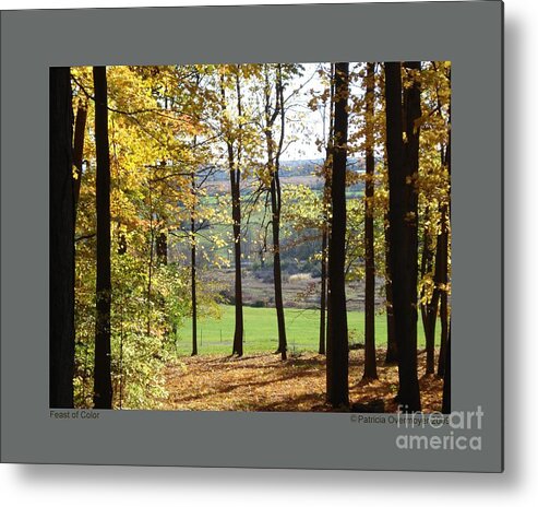 Autumn Metal Print featuring the photograph Feast of Color by Patricia Overmoyer