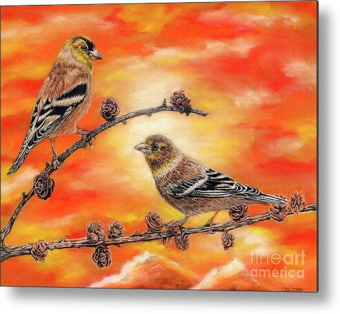 American Goldfinch Metal Print featuring the painting Femal American Goldfinch by Peter Piatt