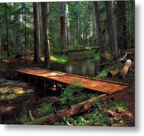Idaho Scenics Metal Print featuring the photograph Forest Foot Bridge by Leland D Howard