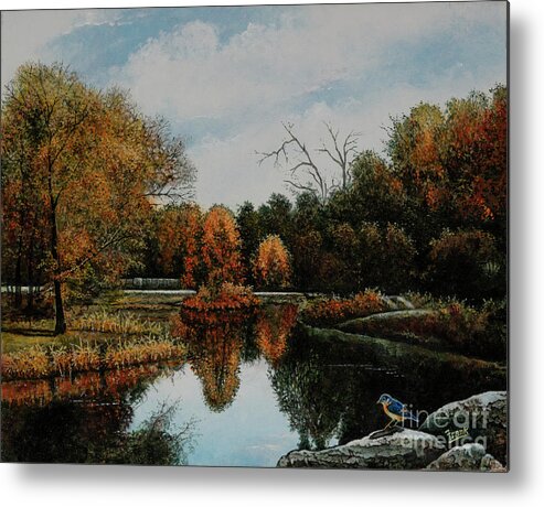 St. Louis Metal Print featuring the painting Forest Park Waterways 1 by Michael Frank