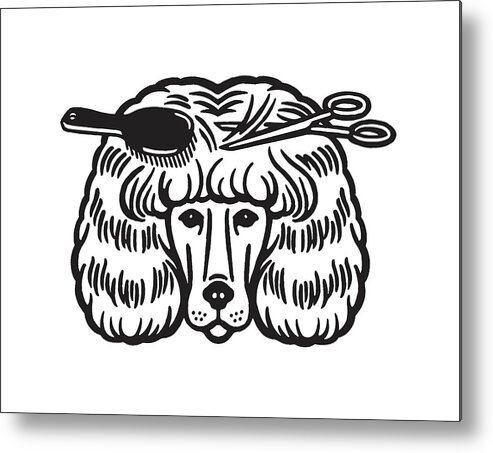 Animal Metal Print featuring the drawing Hairstyling of a Dog by CSA Images