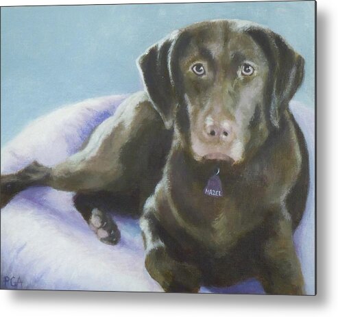 Chocolate Lab Metal Print featuring the painting Hazel by Phyllis Andrews