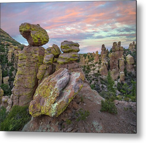 00563972 Metal Print featuring the photograph Hoodoos From Ai Point Nature Trail, Echo Canyon, Chiricahua Nm, Arizona by Tim Fitzharris