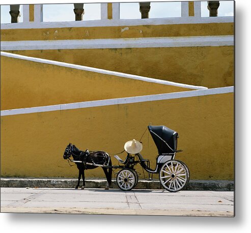 Horse Metal Print featuring the photograph Horse And Carriage Driver by Buena Vista Images