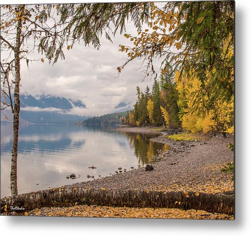 2015 Metal Print featuring the photograph Lake McDonald in Glacier NP by Tim Kathka