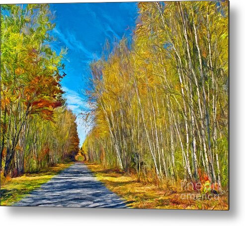 Birches Metal Print featuring the photograph Down the Spring Birch Road by Carol Randall