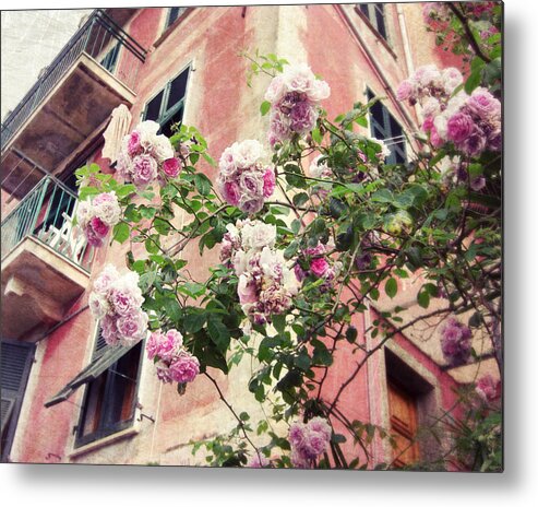 Roses Metal Print featuring the photograph Little Italian Roses by Lupen Grainne