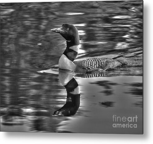Black And White Metal Print featuring the photograph Loon in Monochrome by Steve Brown
