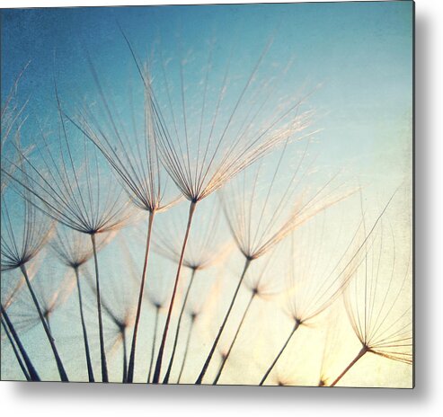 Dandelion Metal Print featuring the photograph Make a Wish by Lupen Grainne