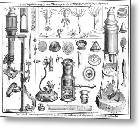 Engraving Metal Print featuring the drawing Microscopes And Microscopical Objects by Print Collector