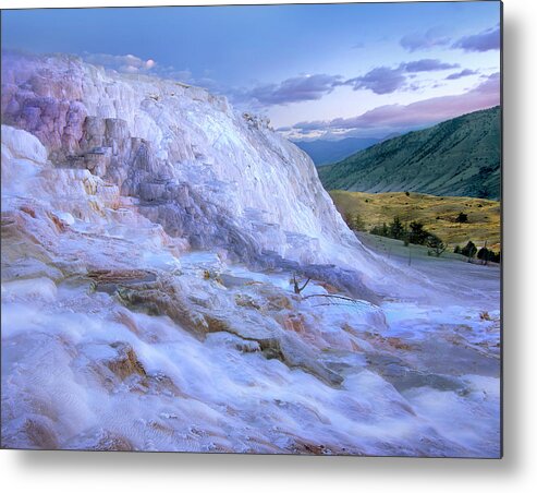 00586256 Metal Print featuring the photograph Minerva Terrace Hot Spring, Yellowstone National Park, Wyoming by Tim Fitzharris