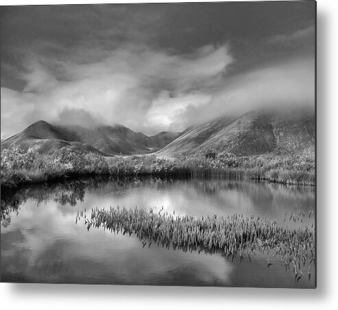 Disk1215 Metal Print featuring the photograph Mist Over Ogilvie Mountains Yukon by Tim Fitzharris