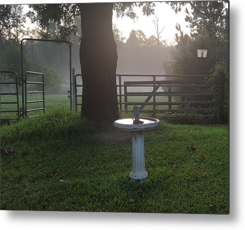 Country Mist Metal Print featuring the photograph Mists And A Morning Bird Bath by Pamela Smale Williams