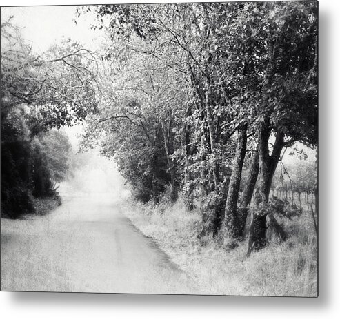 Black And White Metal Print featuring the photograph Misty Road by Lupen Grainne