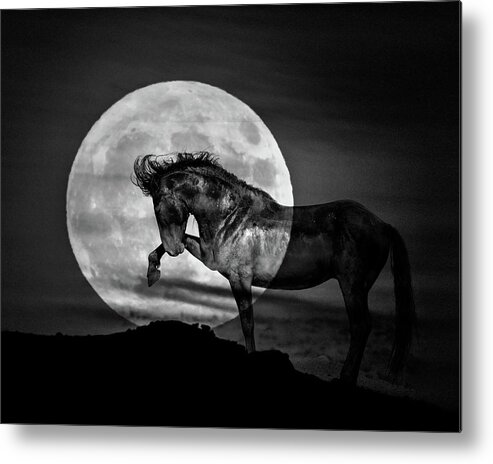 Horse Metal Print featuring the photograph Moonlight by Mary Hone
