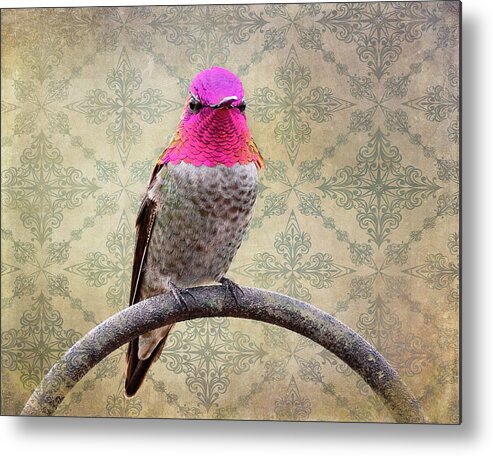 Birds Metal Print featuring the photograph Not too shabby either by Mary Hone