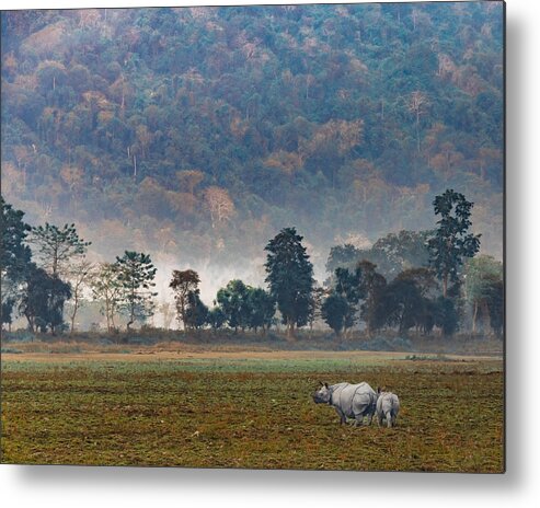 Nature Metal Print featuring the photograph One Horned Rhino And Baby by Nilakshi