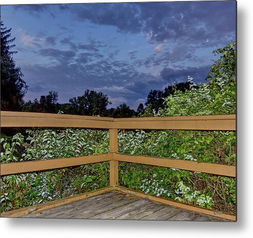 Woods Metal Print featuring the photograph Overlooking the Woods by Deborah Ritch