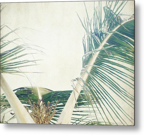 Palm Tree Metal Print featuring the photograph Palm by Lupen Grainne