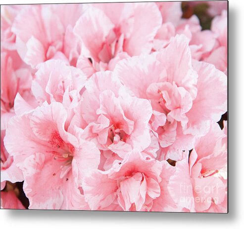 Color Metal Print featuring the photograph Pink Azalea Flower Dream #2 #floral #decor #art by Anita Bella Jantz