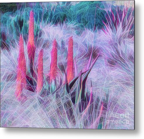 Art Metal Print featuring the photograph Poker Plants in Pinks and Blues by Roslyn Wilkins