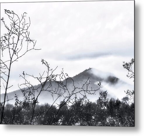 Affordable Metal Print featuring the photograph Rare Desert Fog in Winter by Judy Kennedy