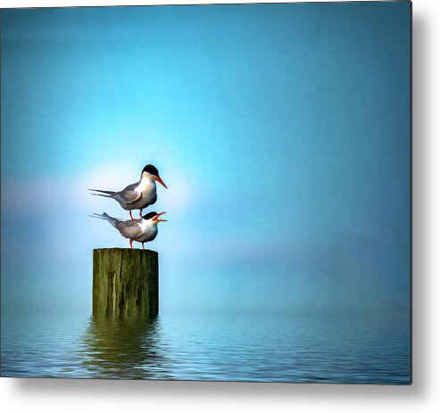 Terns Metal Print featuring the photograph Romance On The High Seas by Cathy Kovarik