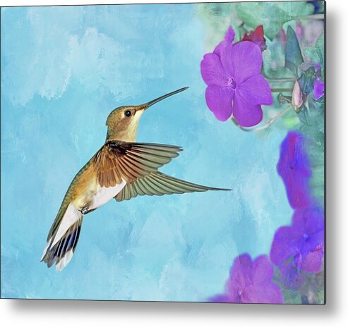 Hummingbird Metal Print featuring the photograph Ruby-throated Hummingbird with Impatiens by Nikolyn McDonald