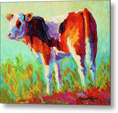 Saucy Calf Metal Print featuring the painting Saucy Calf by Marion Rose