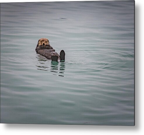 Seward Metal Print featuring the photograph Sea Otter by David Downs