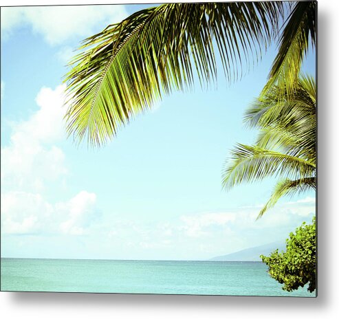 Palm Tree Metal Print featuring the photograph Sea Palms by Lupen Grainne