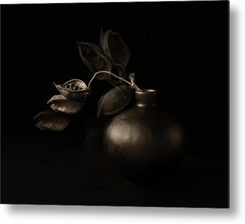 Stilllife Metal Print featuring the photograph Seed Pods, Their Echoes by Margaret Halaby