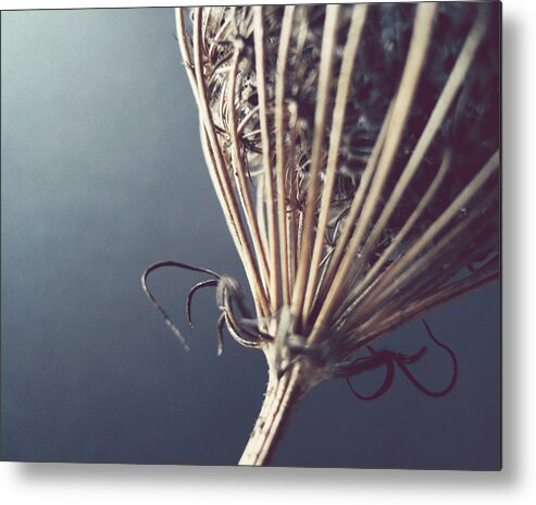 Abstract Photography Metal Print featuring the photograph Simple Form by Lupen Grainne