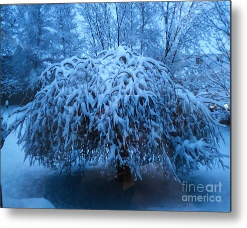 Tree Metal Print featuring the photograph Spring Snow by Kate Conaboy