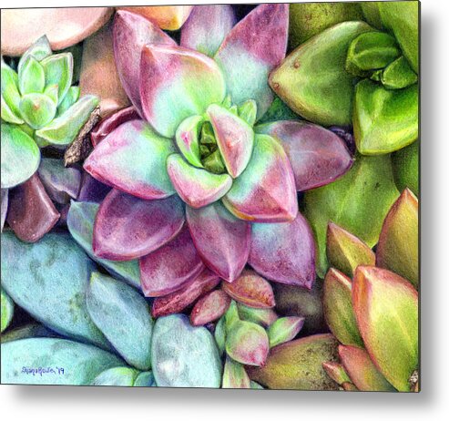 Succulent Metal Print featuring the drawing Succulent Succulents by Shana Rowe Jackson