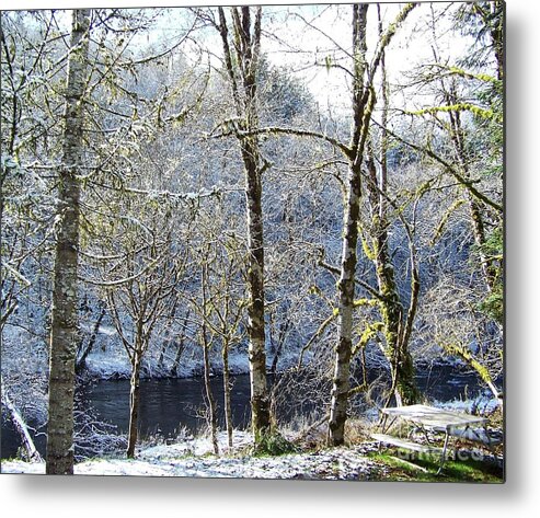 Landscape Metal Print featuring the photograph Sun Catchers by Julie Rauscher