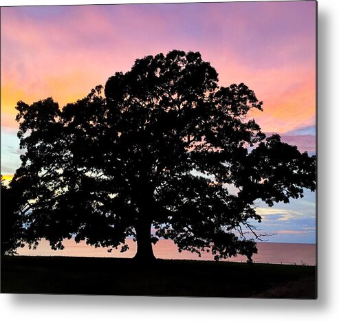 Ashtabula Metal Print featuring the photograph Sunset Silhouette by David Coblitz